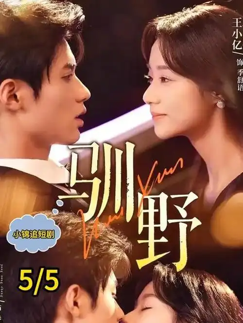 代号潮汐谍战剧